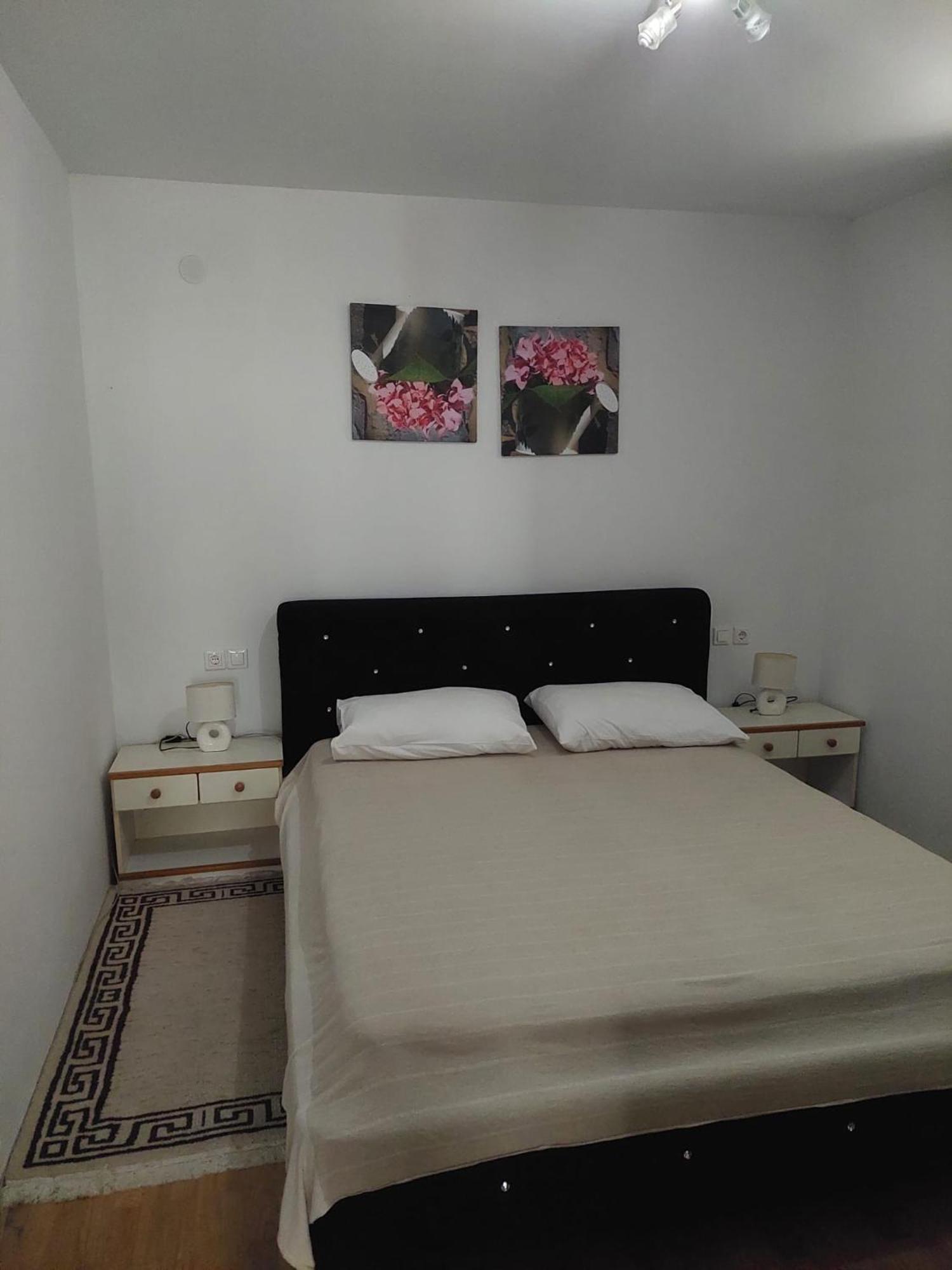 Apartments Ivana Diklo ซาดาร์ ภายนอก รูปภาพ